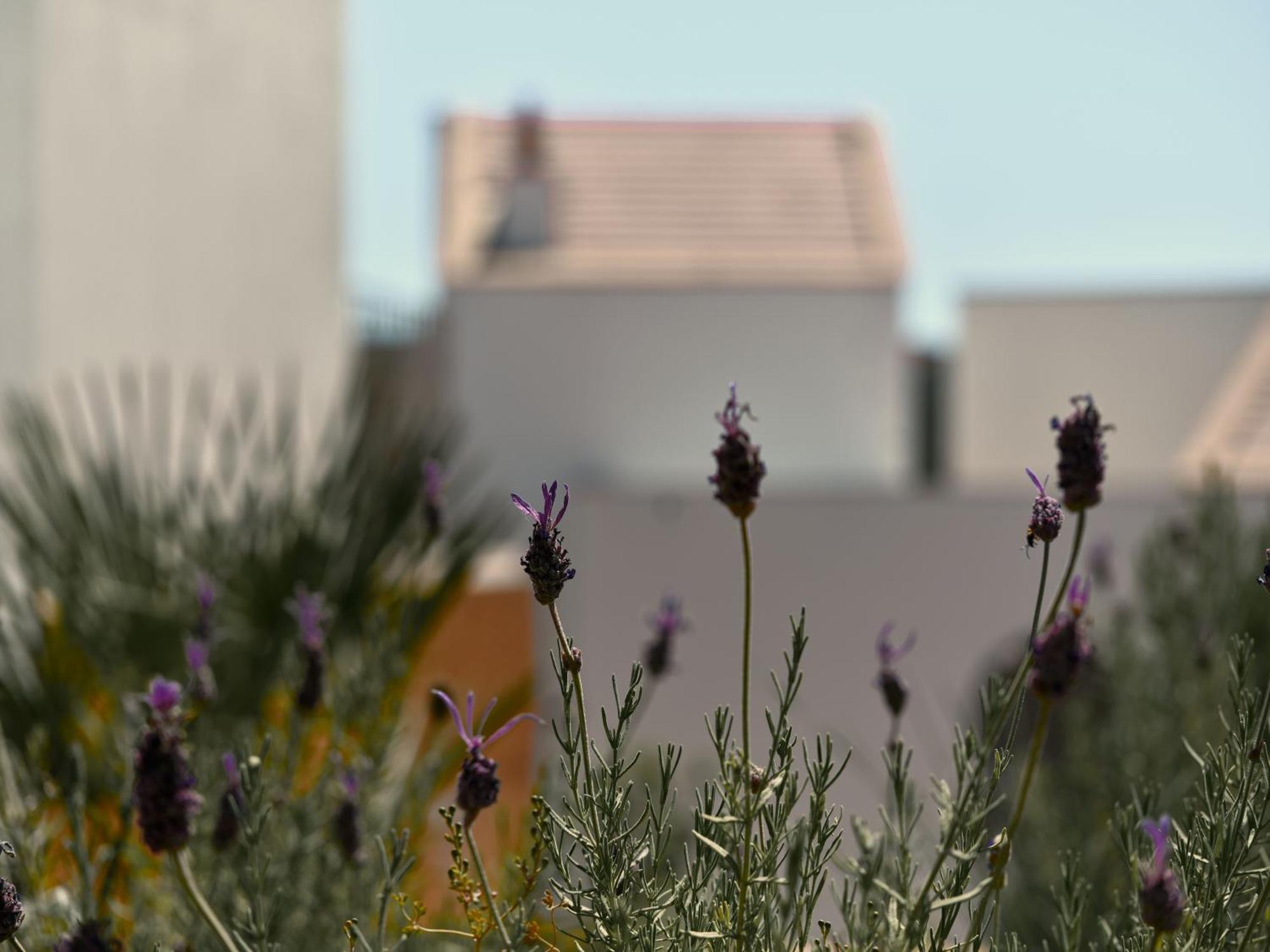 Hotel Viceroy At Ombria Algarve Loulé Exterior foto